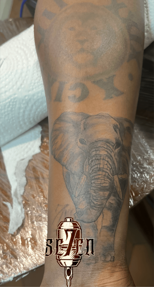 Realistic elephant portrait tattoo on a forearm