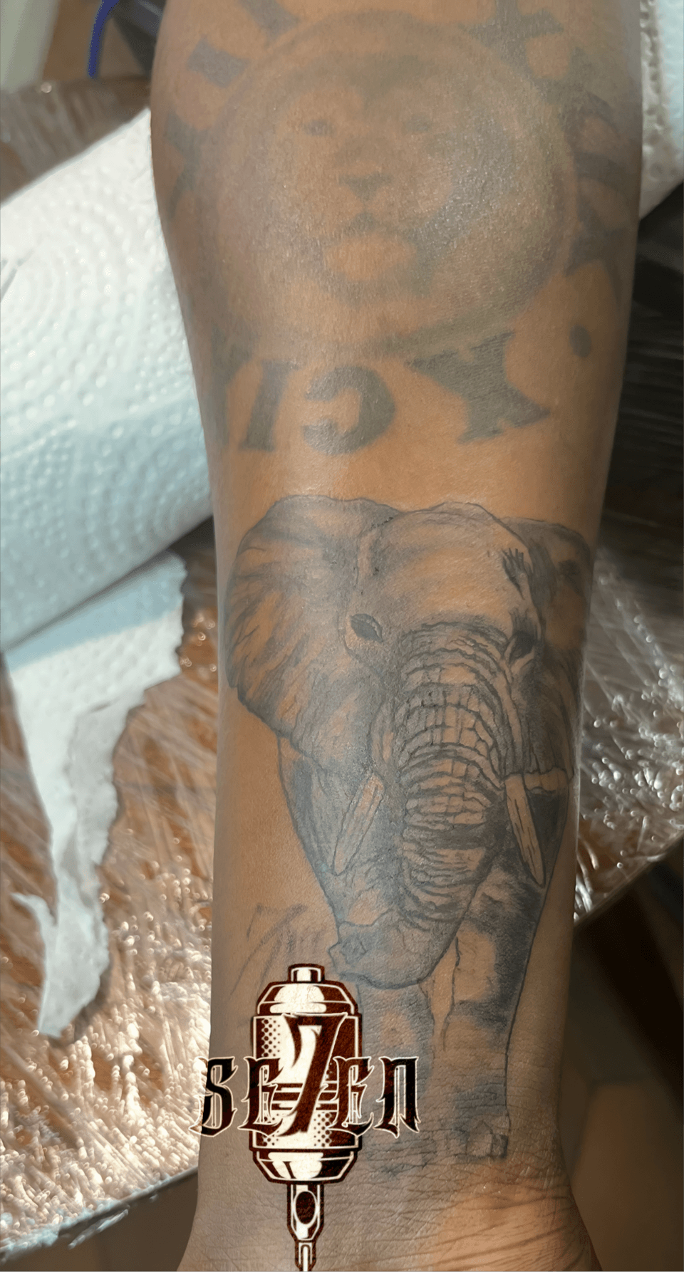 Realistic elephant portrait tattoo on a forearm